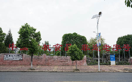 當(dāng)定制葛粉時，我們真正在選擇什么？