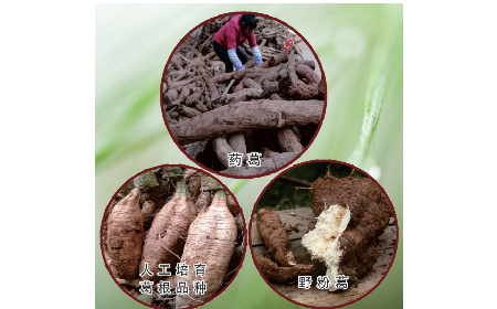 買葛粉是買野生的好？還是野生有機(jī)的好？